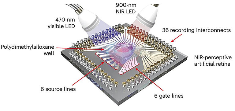 Artificial Retina